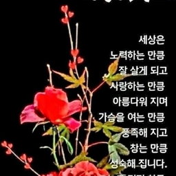 피드에 업로드 된 이미지