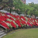 피드 작성자 프로필