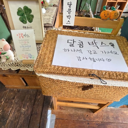 피드 이미지