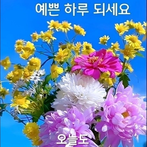 피드 이미지