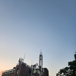 피드에 업로드 된 이미지