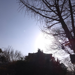 피드에 업로드 된 이미지