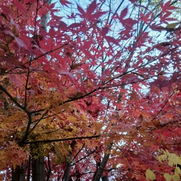 피드에 업로드 된 이미지