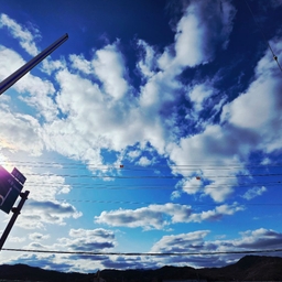 피드에 업로드 된 이미지