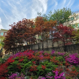 피드에 업로드 된 이미지