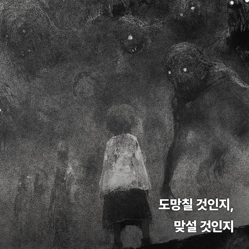 피드 이미지