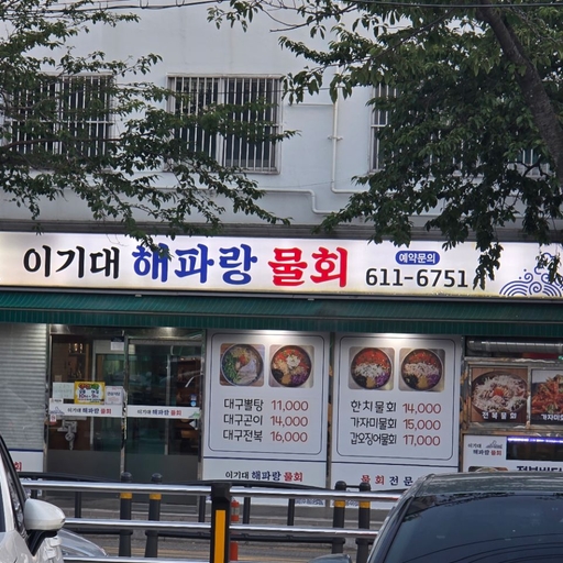 피드 이미지