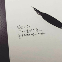 피드에 업로드 된 이미지