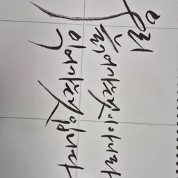 피드에 업로드 된 이미지