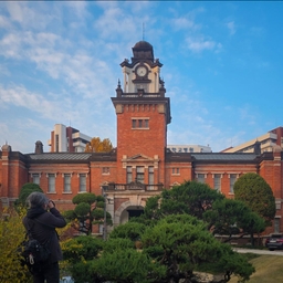 피드에 업로드 된 이미지