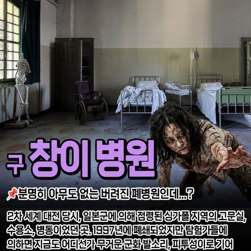 피드 이미지