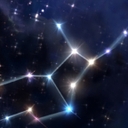 피드 작성자 프로필