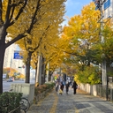 멤버 프로필