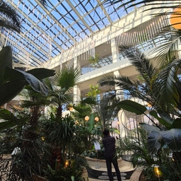 피드에 업로드 된 이미지