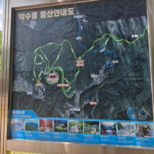 피드 이미지