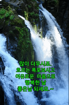 피드에 업로드 된 이미지
