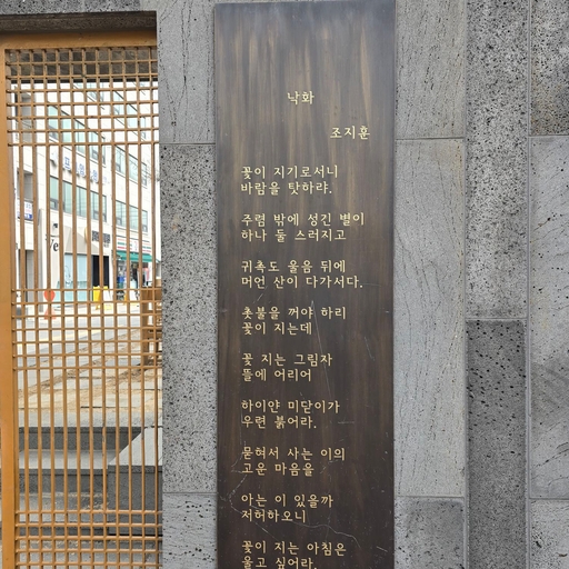 피드 이미지