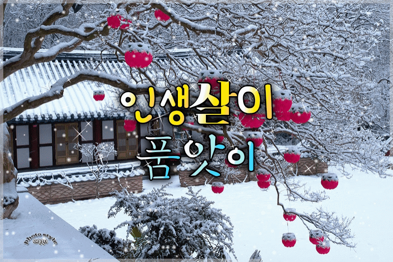 피드에 업로드 된 이미지