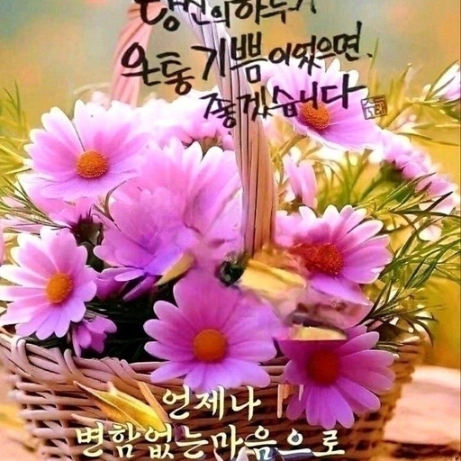 피드 이미지