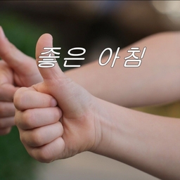 피드에 업로드 된 이미지