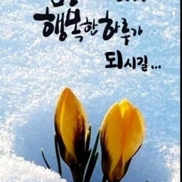 피드에 업로드 된 이미지