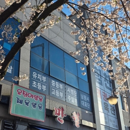 피드에 업로드 된 이미지