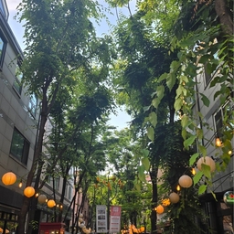 피드에 업로드 된 이미지
