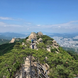 피드에 업로드 된 이미지