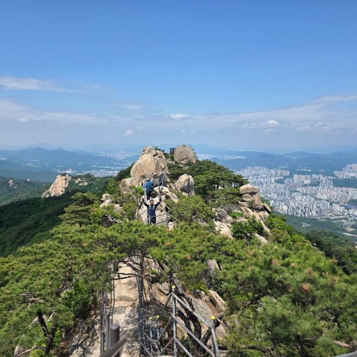 피드 이미지