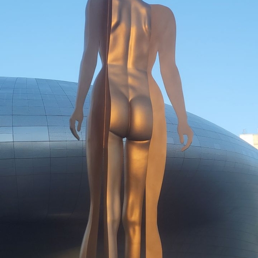 피드 이미지