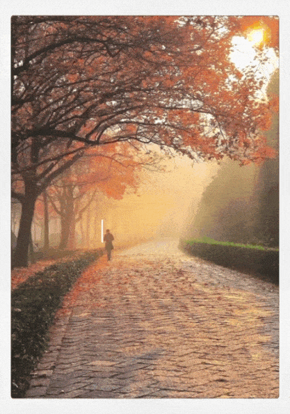 ํผ๋์ ์
๋ก๋ ๋ ์ด๋ฏธ์ง