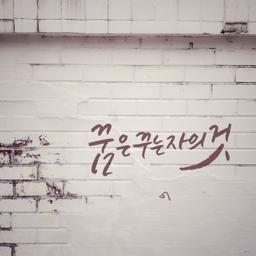 피드 이미지