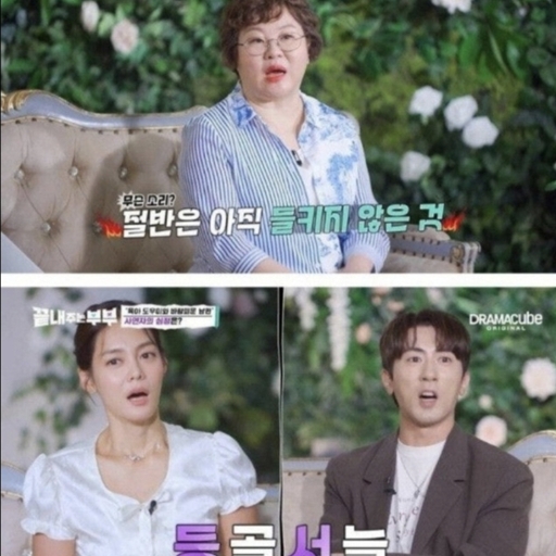 피드 이미지