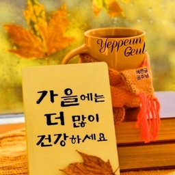 피드에 업로드 된 이미지