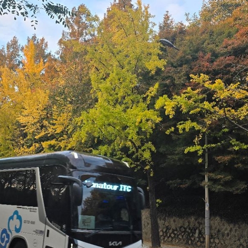 피드 이미지