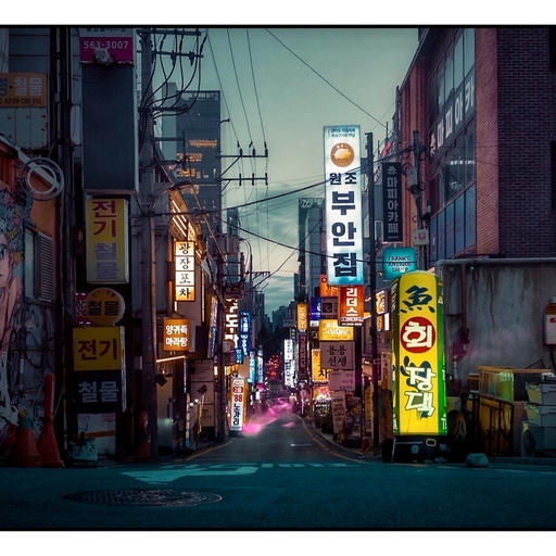 피드 이미지