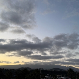 피드에 업로드 된 이미지