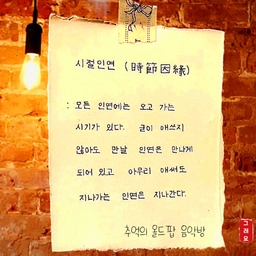 피드에 업로드 된 이미지