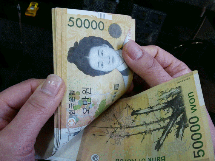 피드 이미지