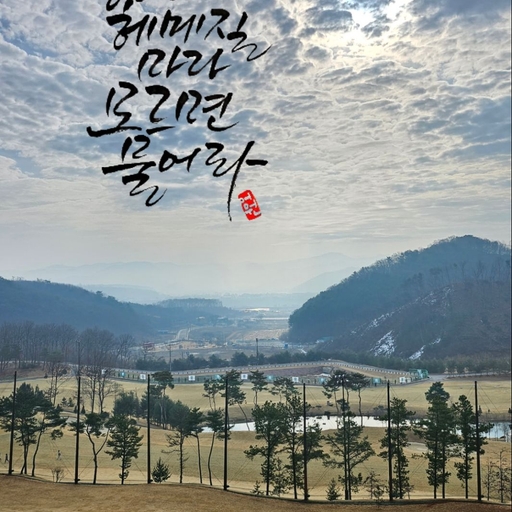 피드 이미지