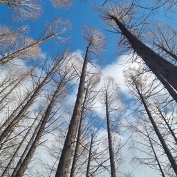 피드에 업로드 된 이미지