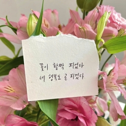 피드에 업로드 된 이미지