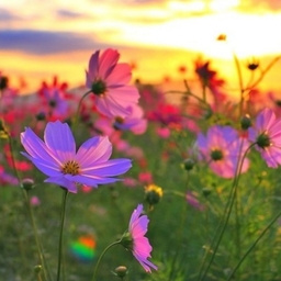 ํผ๋์ ์
๋ก๋ ๋ ์ด๋ฏธ์ง