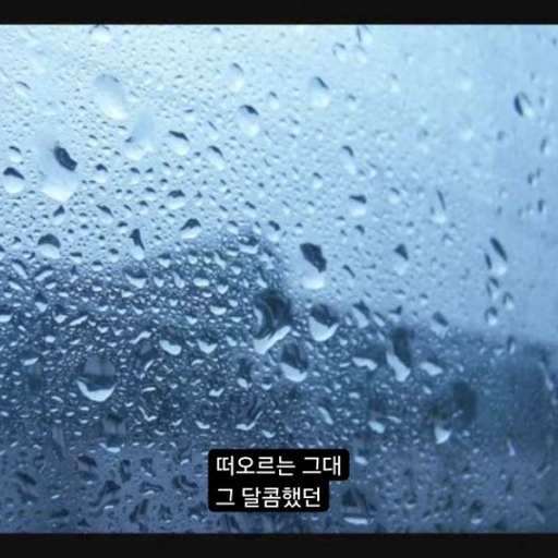 피드 이미지