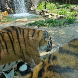 피드에 업로드 된 이미지