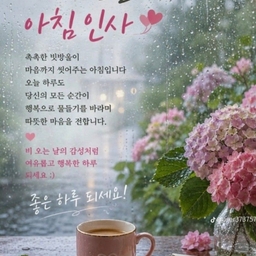 피드에 업로드 된 이미지