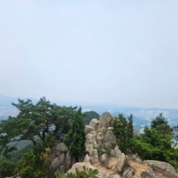 피드에 업로드 된 이미지