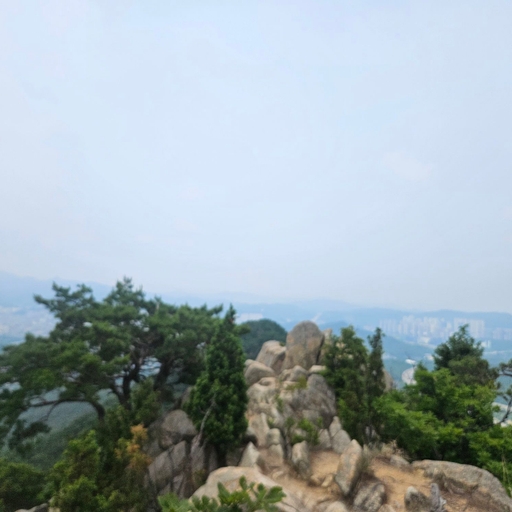 피드 이미지