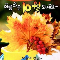 피드에 업로드 된 이미지