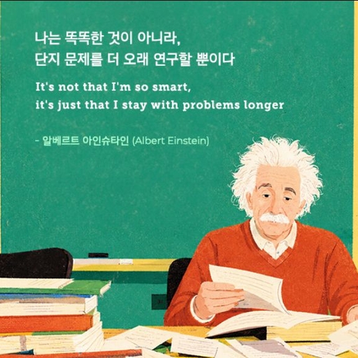 피드 이미지